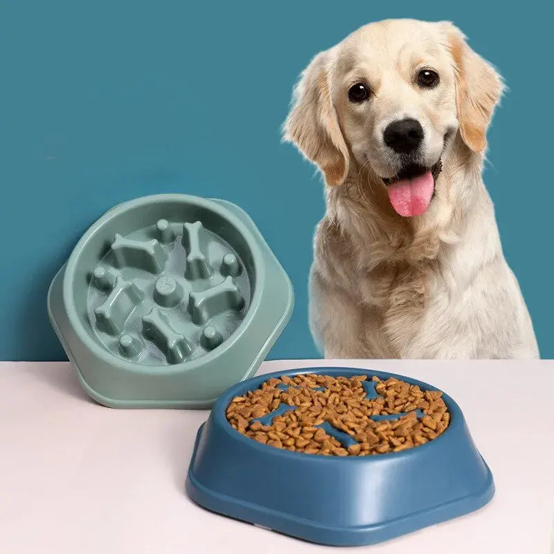 Slow Feeder Pet Bowl