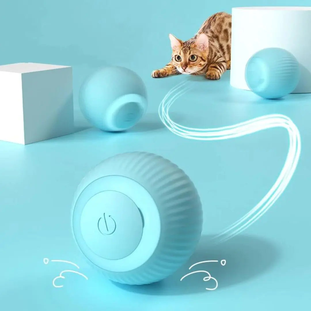 Smart Toy Ball