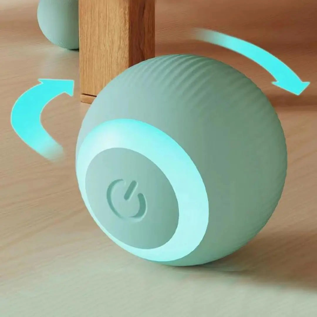 Smart Toy Ball