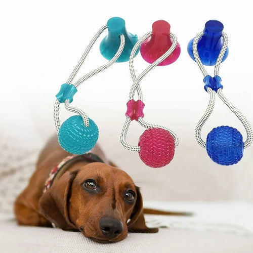 Dog Chew Toy With Suction Cup