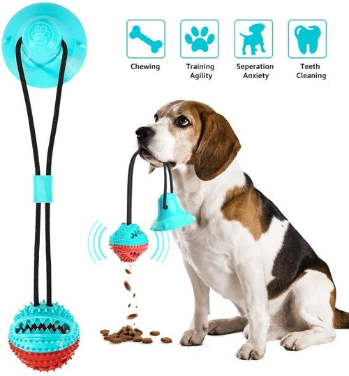 Multifunction Dog Chew Toy with Suction Cup