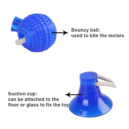 Dog Chew Toy With Suction Cup