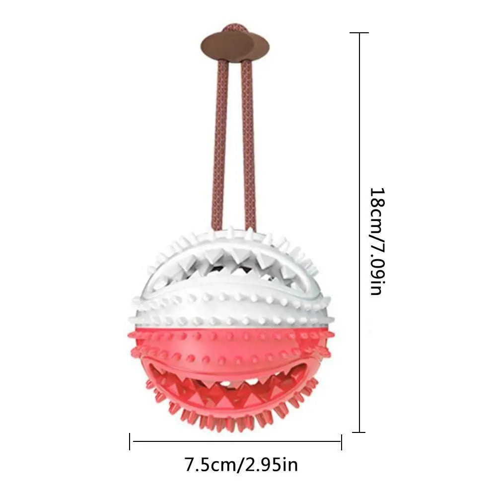 Multifunction Dog Chew Toy with Suction Cup